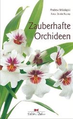 Zauberhafte Orchideen