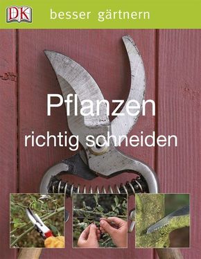 Pflanzen richtig schneiden