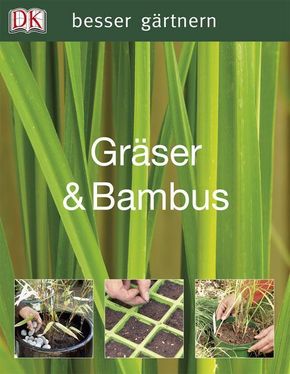 Gräser & Bambus