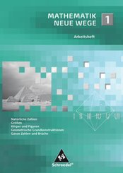 Mathematik Neue Wege SI - Arbeitshefte allgemeine Ausgabe 2008