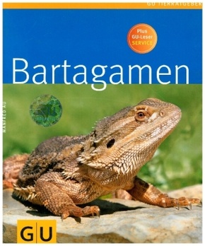 Bartagamen