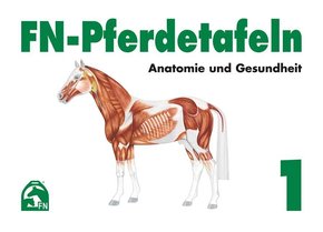 FN-Pferdetafeln: Anatomie und Gesundheit