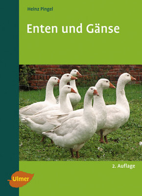 Enten und Gänse