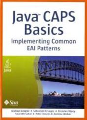 Java CAPS Basics, w. CD-ROM