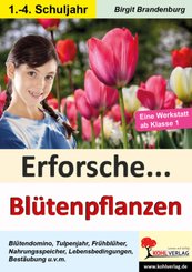 Erforsche Blütenpflanzen