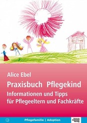 Praxisbuch Pflegekind