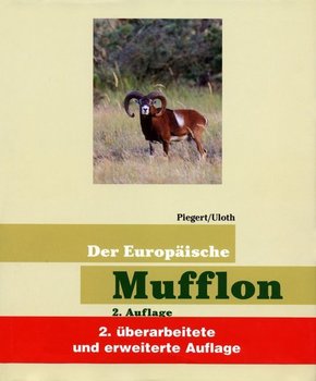 Der Europäische Mufflon
