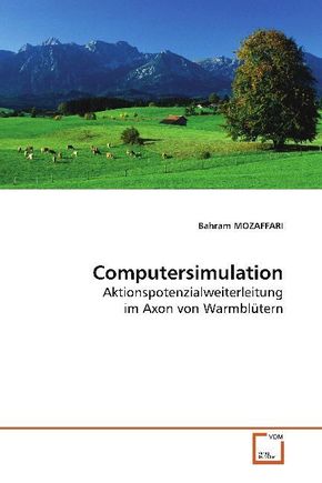 Computersimulation (eBook, PDF)