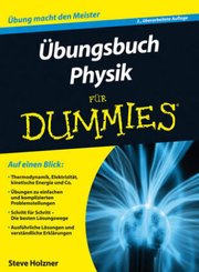 Übungsbuch Physik für Dummies