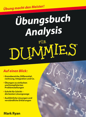 Übungsbuch Analysis für Dummies