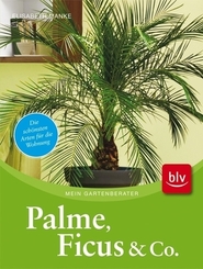 Palme, Ficus & Co.