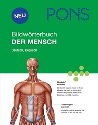 PONS Bildwörterbuch Der Mensch