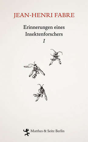 Erinnerungen eines Insektenforschers - Bd.1