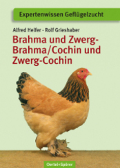 Brahma und Zwerg-Brahma / Cochin und Zwerg-Cochin