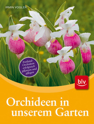 Orchideen in unserem Garten
