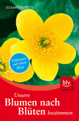 Blumen nach Blüten bestimmen