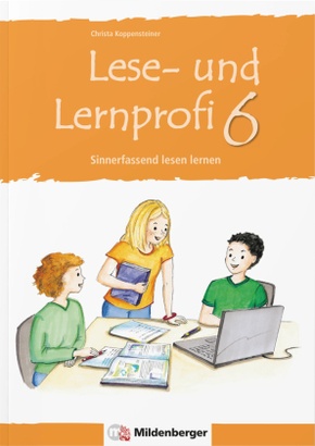 Lese- und Lernprofi: Lese- und Lernprofi 6 - Arbeitsheft