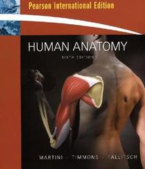 Human Anatomy