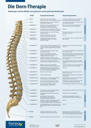 Die Dorn-Therapie, 1 Poster