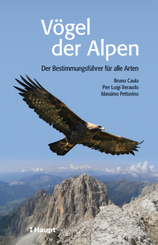 Vögel der Alpen