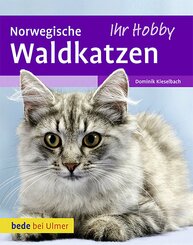 Norwegische Waldkatzen