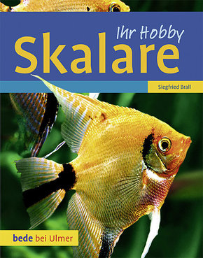 Skalare