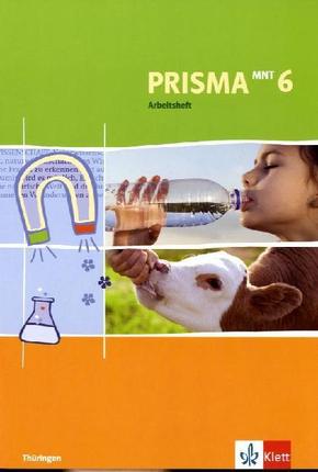 Prisma Mensch - Natur - Technik, Ausgabe Thüringen: PRISMA Mensch-Natur-Technik 6. Ausgabe Thüringen