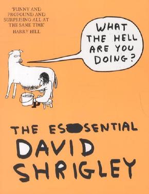 What The Hell Are You Doing?: The Essential David Shrigley