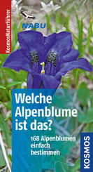 Welche Alpenblume ist das?