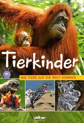 Tierkinder; Wie Tiere auf die Welt kommen; Deutsch; durchgeh. vierfarbig, mit vielen Fotos