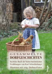 Gesammelte Dorfgeschichten - Tl.6