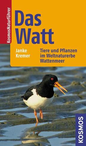 Das Watt