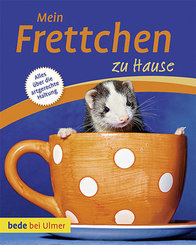 Mein Frettchen zu Hause