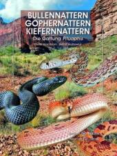 Bullennattern, Gophernattern, Kiefernnattern