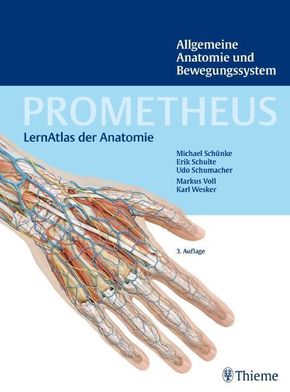 Prometheus: Allgemeine Anatomie und Bewegungssystem