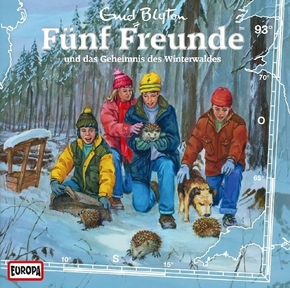 Fünf Freunde und das Geheimnis des Winterwaldes, 1 Audio-CD