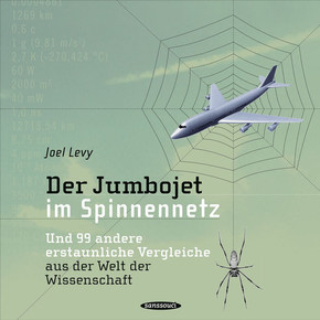 Der Jumbojet im Spinnennetz