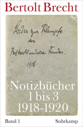 Notizbücher: Notizbücher 1 bis 3 (1918-1920)