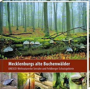 Mecklenburgs alte Buchenwälder