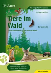 Tiere im Wald für die Kita