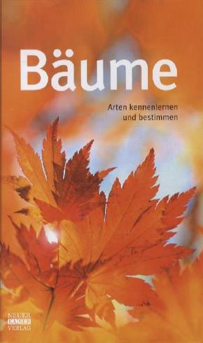 Bäume