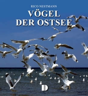 Vögel der Ostsee