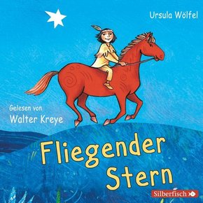Fliegender Stern, 2 Audio-CD