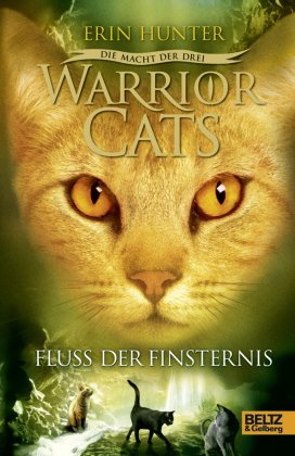Warrior Cats, Die Macht der drei, Fluss der Finsternis