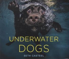 Underwater Dogs