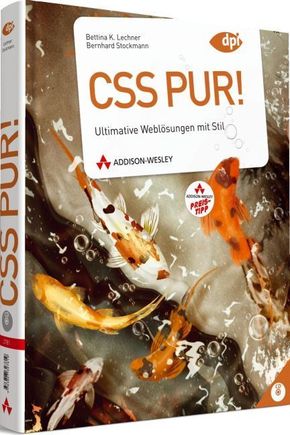 CSS pur!, m. CD-ROM