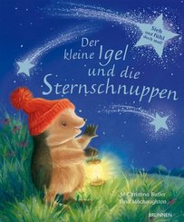 Der kleine Igel und die Sternschnuppen