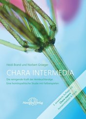 Chara intermedia