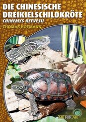 Die Chinesische Dreikielschildkröte