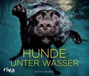Hunde unter Wasser - Bildband
